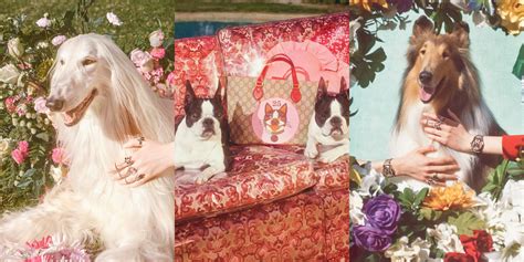 Gucci Celebrates the Year of the Dog with Bosco and Orso